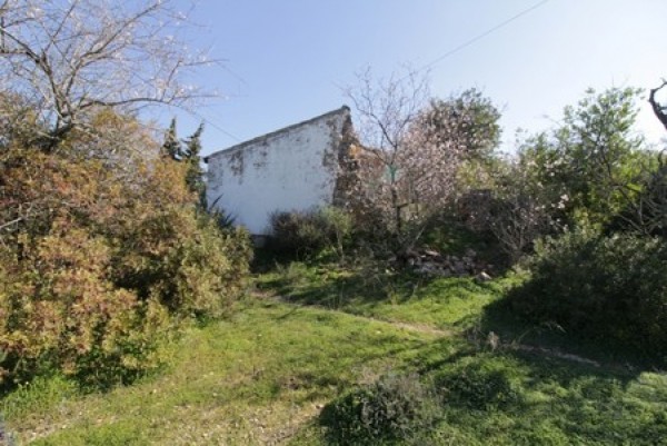 4 Bed  Plot For Sale