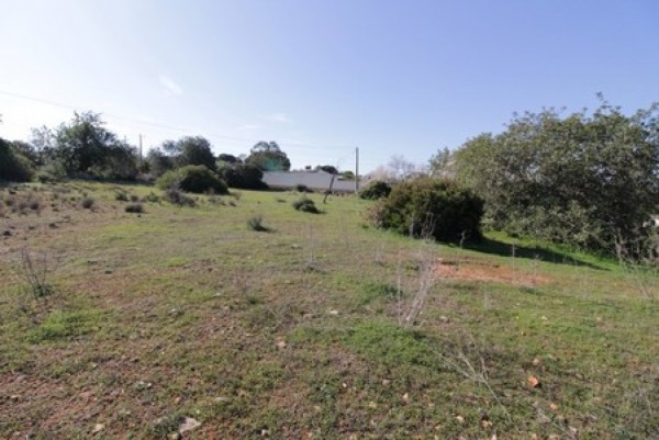 4 Bed  Plot For Sale
