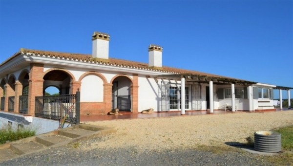 4 Bed  Finca For Sale